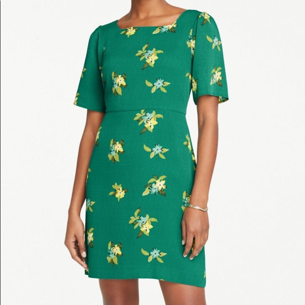 Ann Taylor Green Floral Dress w/ Square Neck